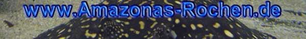 amazonas-rochen.de