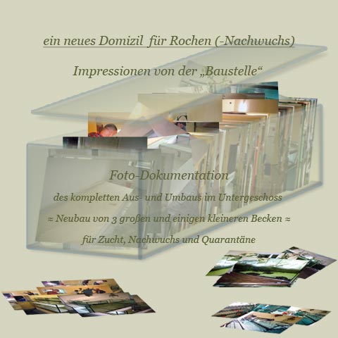Startbild Foto-Dokumentation - Bau von 3 großen und einigen kleineren Becken für Zucht, Nachwuchs und Quarantäne