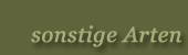 Worte sonstige Arten