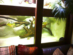 Becken4