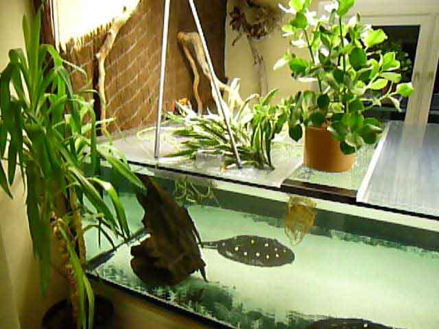 Becken5