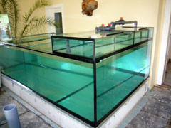 Aquarium befüllt