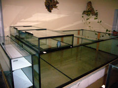 Aquarium mit Aufsatz für Jungtiere