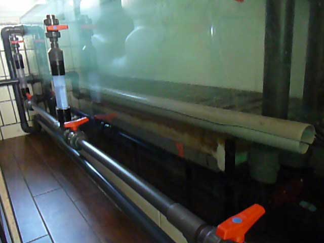 pumpen1