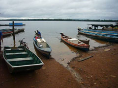 Amazonas - Marktkarren